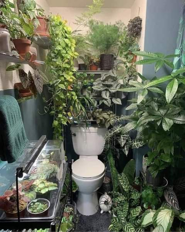 Illustration de l'article : 20 love 'em or hate 'em bathroom and restroom ideas