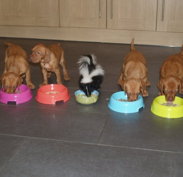 Illustration de l'article : 20 people who snapped and shared a moment of happiness