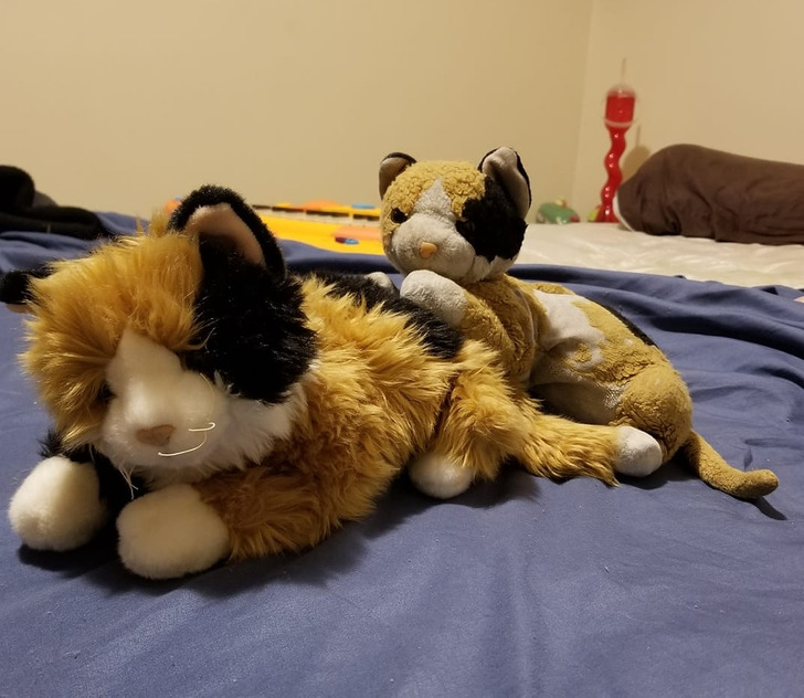 Illustration de l'article : 20 cool old versus new photos