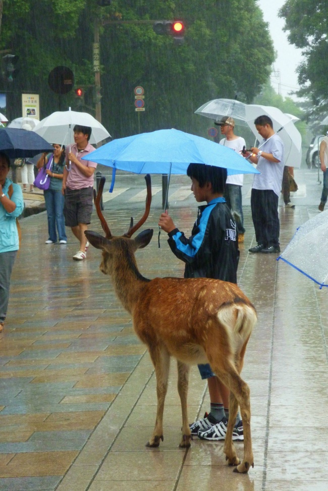 Illustration de l'article : 26 photos of what’s right in the world