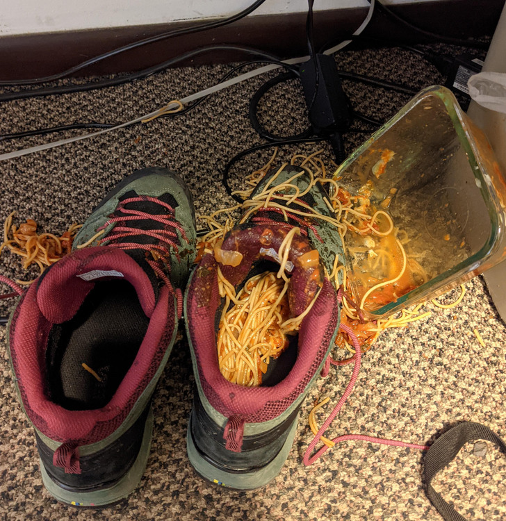 Illustration de l'article : 20 people who had a pretty bad day