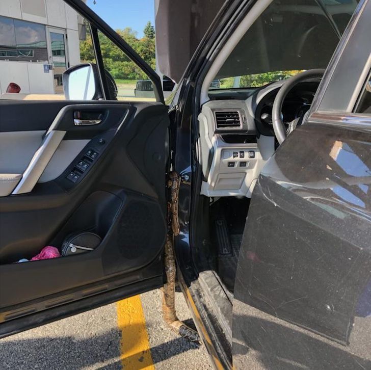 Illustration de l'article : 19 cool coincidences caught on camera