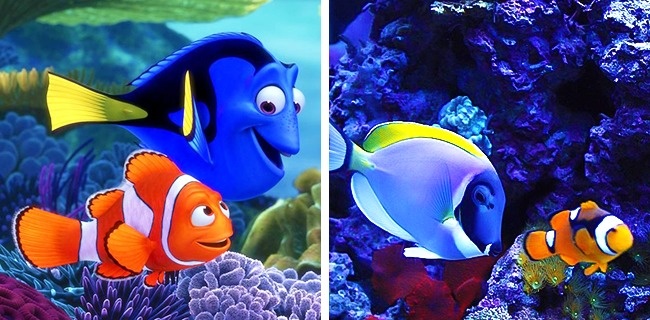 Illustration de l'article : 14 animals that are the exact copies of our favorite cartoon characters