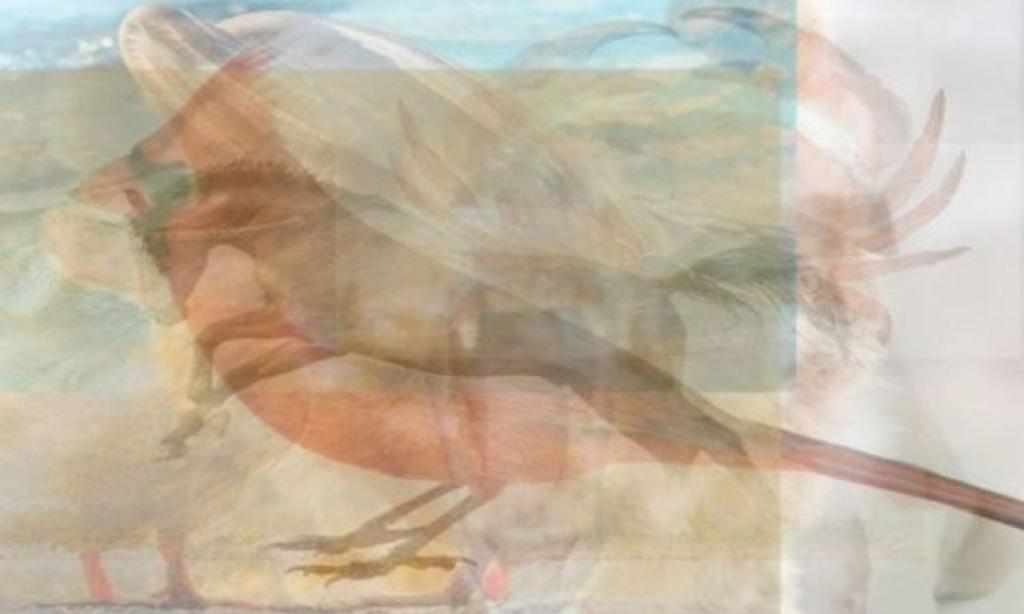Illustration de l'article : The first thing you see in this picture says a lot about your personality