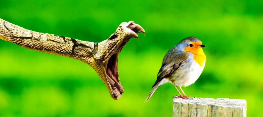 Illustration de l'article : 21 unlikely photos taken just before a catastrophe!