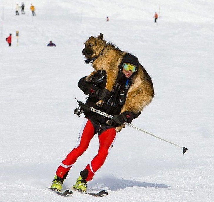 Illustration de l'article : 19 photos that illustrate how eccentric people can be