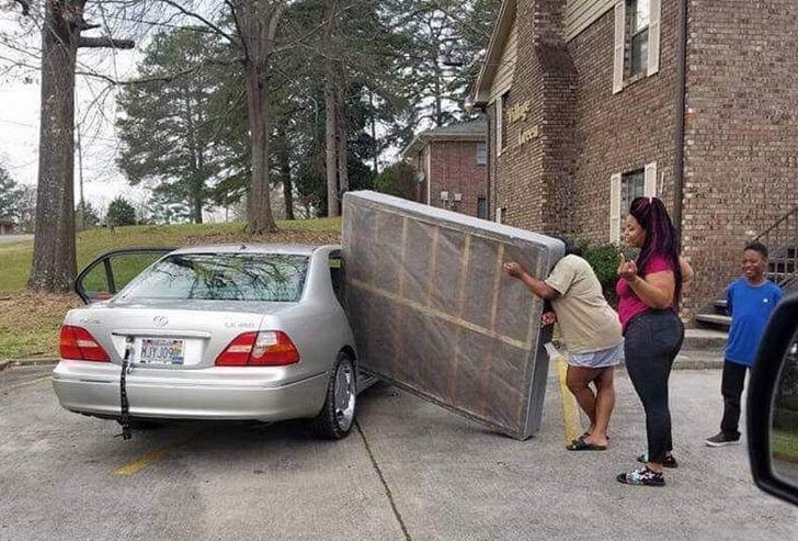 Illustration de l'article : 19 crazy sights caught on camera