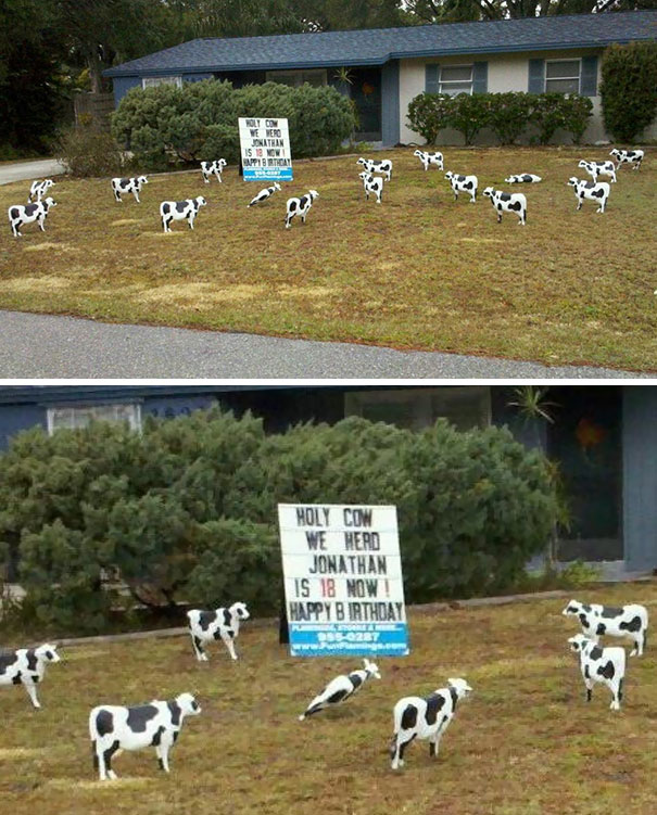 Illustration de l'article : 30 residents who decided to spice up their neighborhood