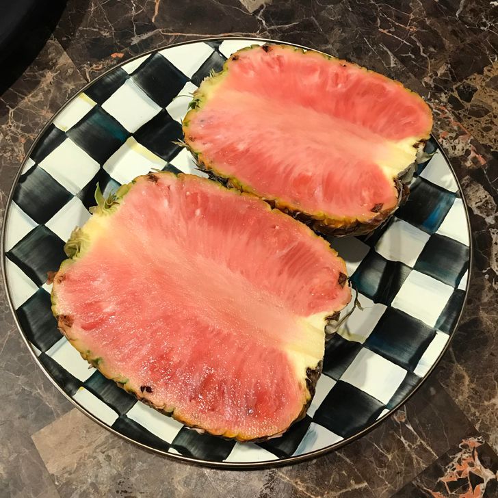 Illustration de l'article : 20 strange sights snapped and shared online