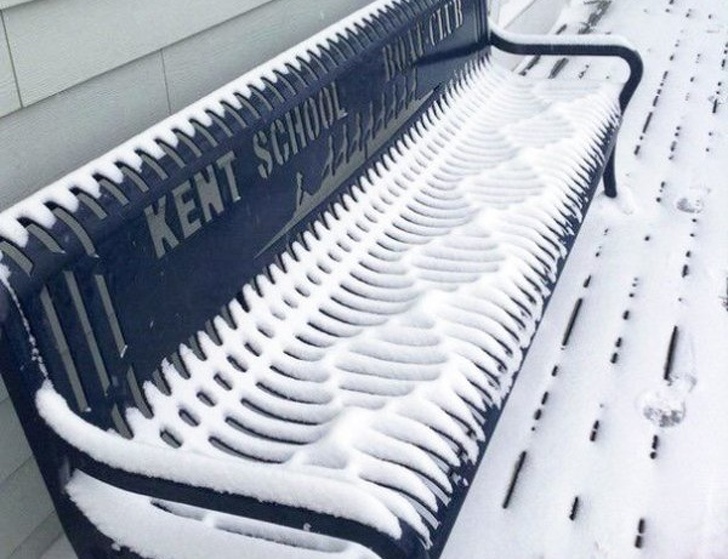 Illustration de l'article : 29 satisfying photos of perfection