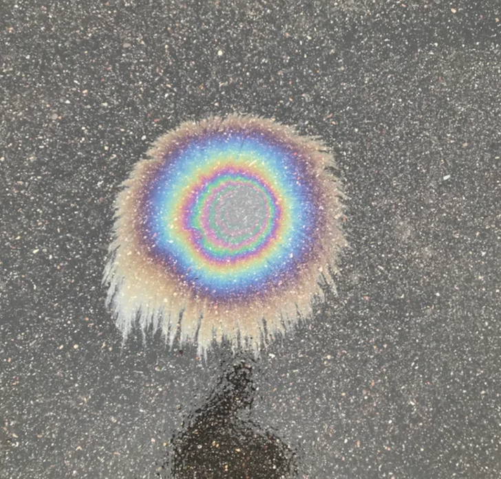 Illustration de l'article : 18 once in a lifetime occurrences that netizens snapped and shared