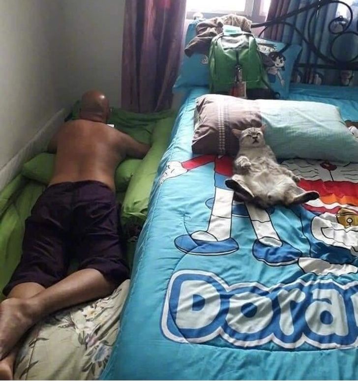 Illustration de l'article : 20 people who were against adopting a pet until this happened