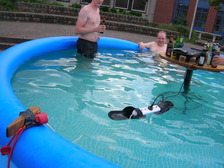 Illustration de l'article : 12 people and animals that like to do things their own way