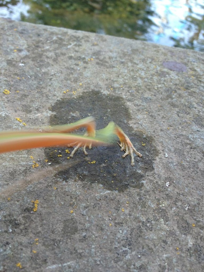 Illustration de l'article : 32 awesome perfectly-timed photos