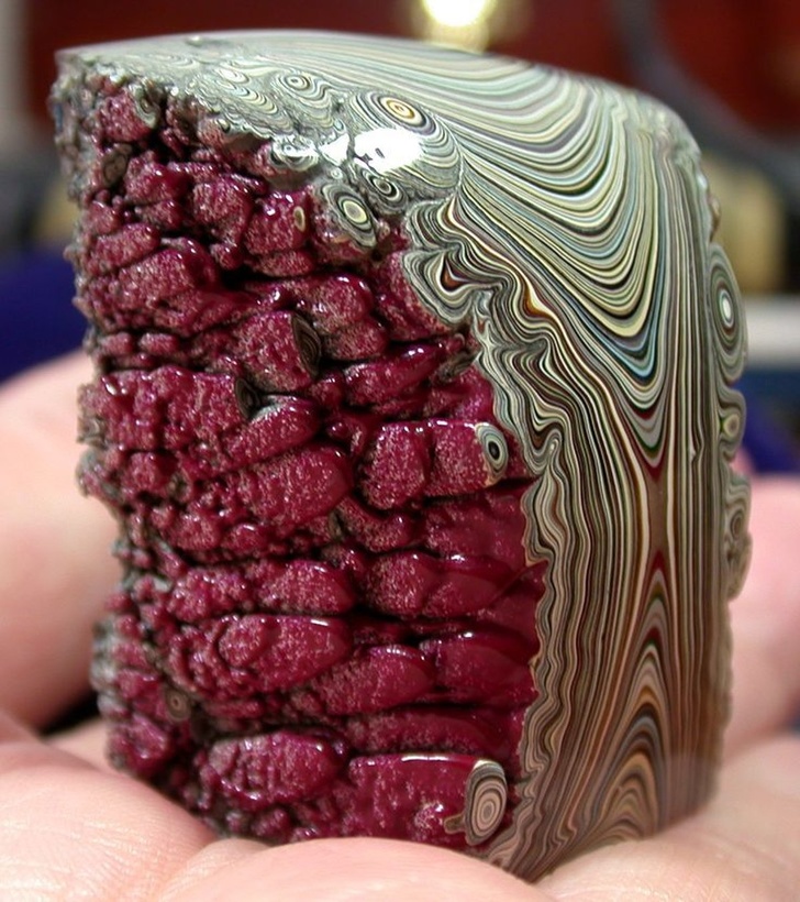 Illustration de l'article : Check out these 21 strange discoveries that deserve a closer look