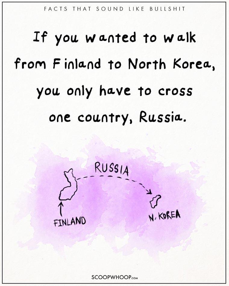 Illustration de l'article : 22 crazy but totally true facts illustrated with drawings!