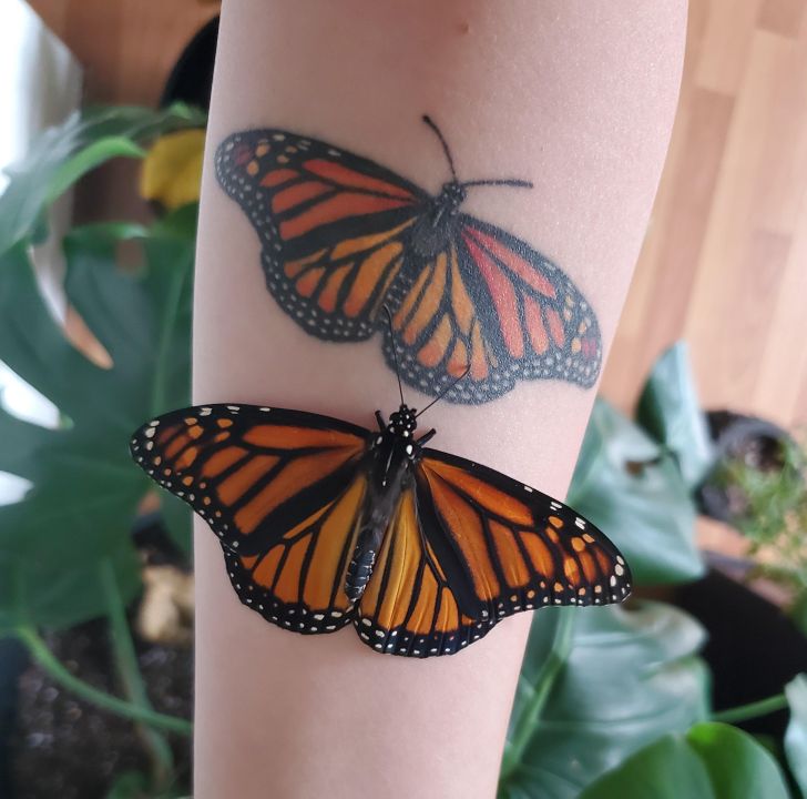 Illustration de l'article : 20 photos of Mother Nature at play