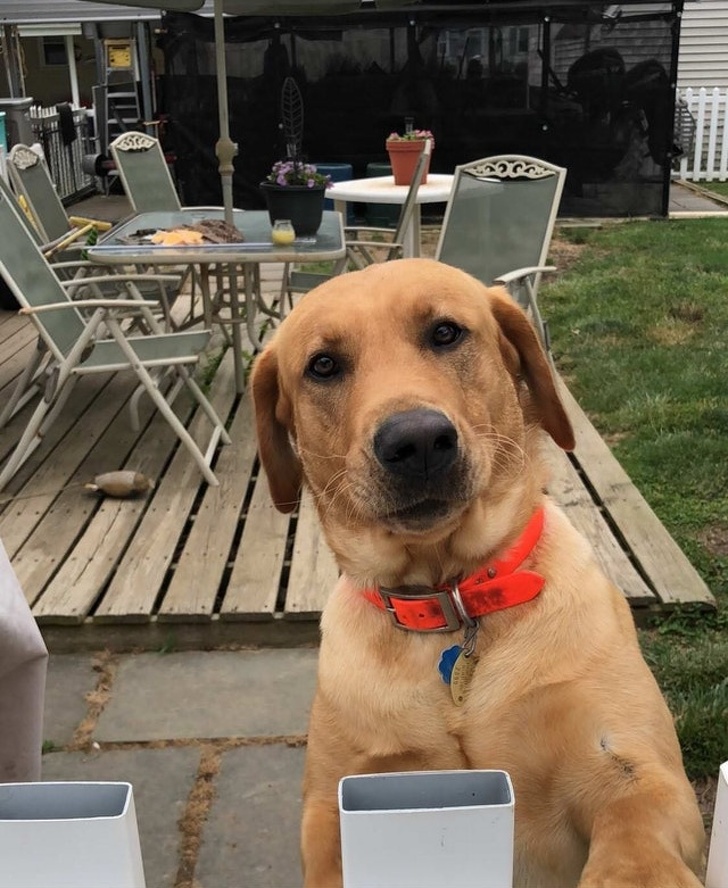 Illustration de l'article : 18 people who snapped and shared a moving moment