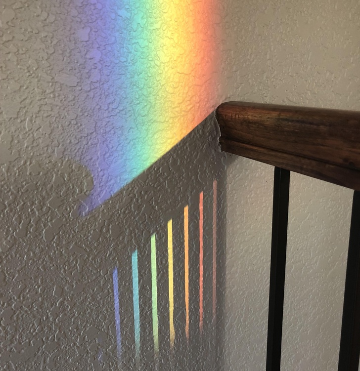 Illustration de l'article : 29 satisfying photos of perfection