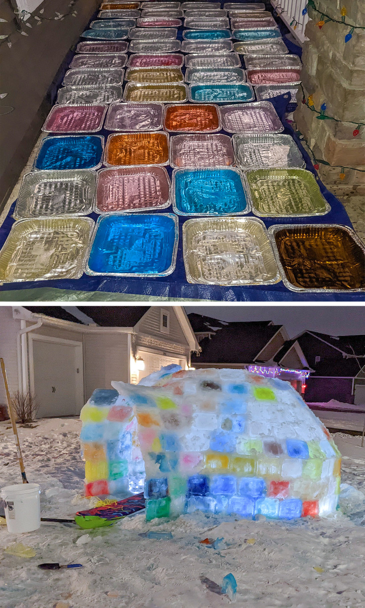 Illustration de l'article : 19 touching photos that show love in action