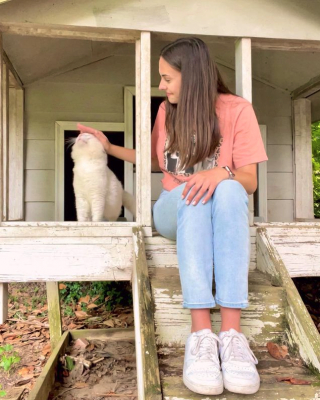 Illustration de l'article : Une femme emménage dans sa nouvelle maison et découvre que les anciens locataires y ont laissé leurs 2 chats
