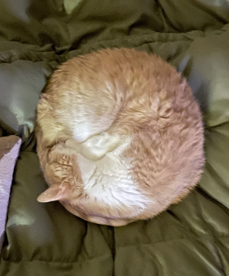 Illustration de l'article : 15 mesmerizing examples of near-perfection