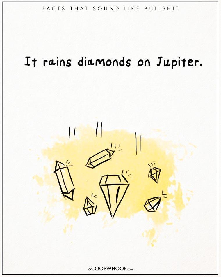 Illustration de l'article : 22 crazy but totally true facts illustrated with drawings!