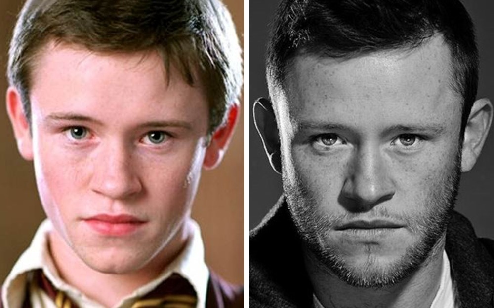 Illustration de l'article : 25 Hogwarts students who have changed as if by magic
