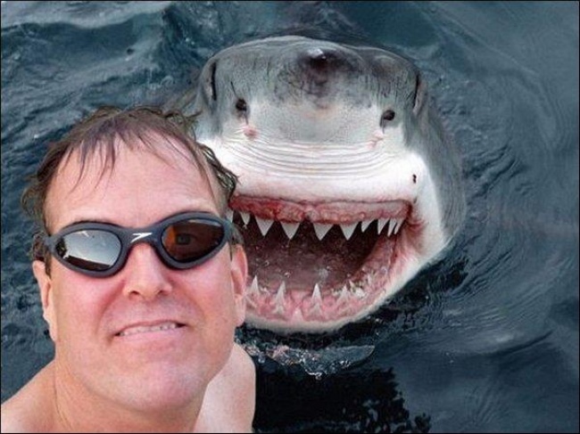 Illustration de l'article : 14 extreme selfies that will make your head spin