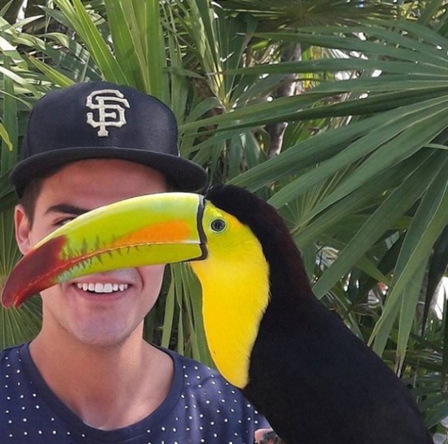 Illustration de l'article : 25 of the funniest photobombs you'll see this year!