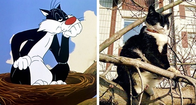Illustration de l'article : 14 animals that are the exact copies of our favorite cartoon characters