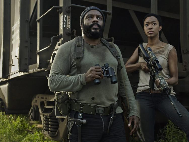 Illustration de l'article : Whatever happened to some of the actors from “The Walking Dead”?