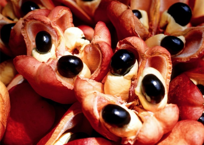 Illustration de l'article : 12 culinary delights that could send you to an early grave