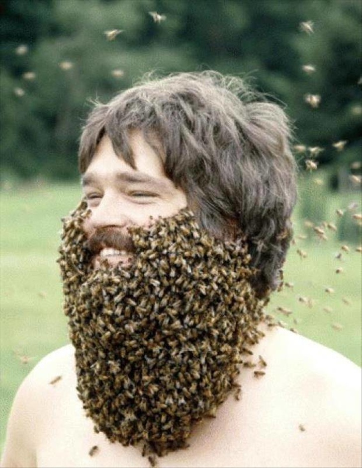 Illustration de l'article : 18 photos that prove some people have really weird ideas