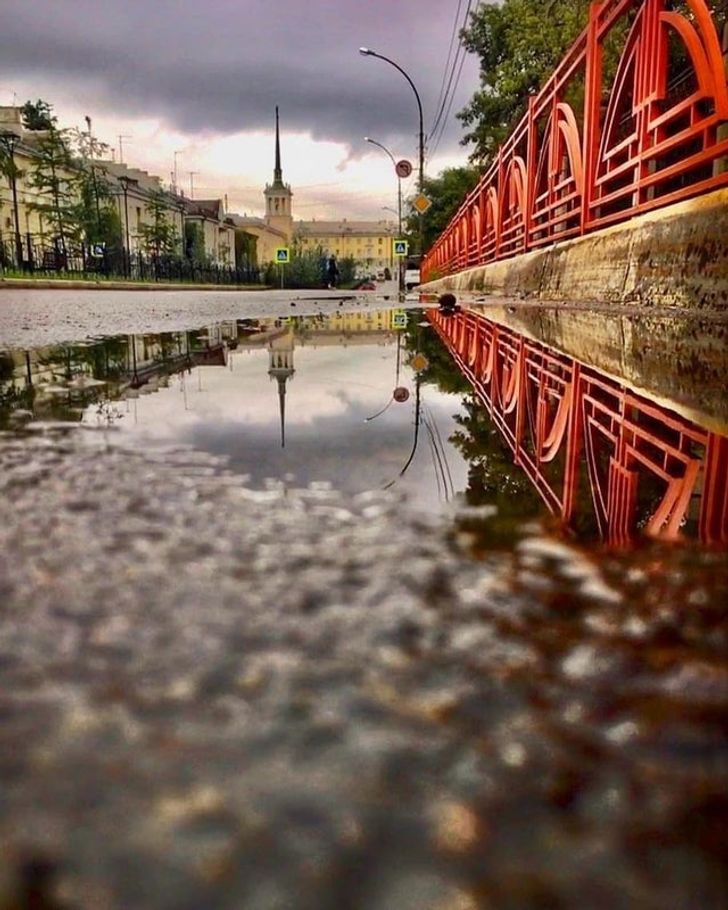 Illustration de l'article : 19 photos that illustrate the beauty of nature