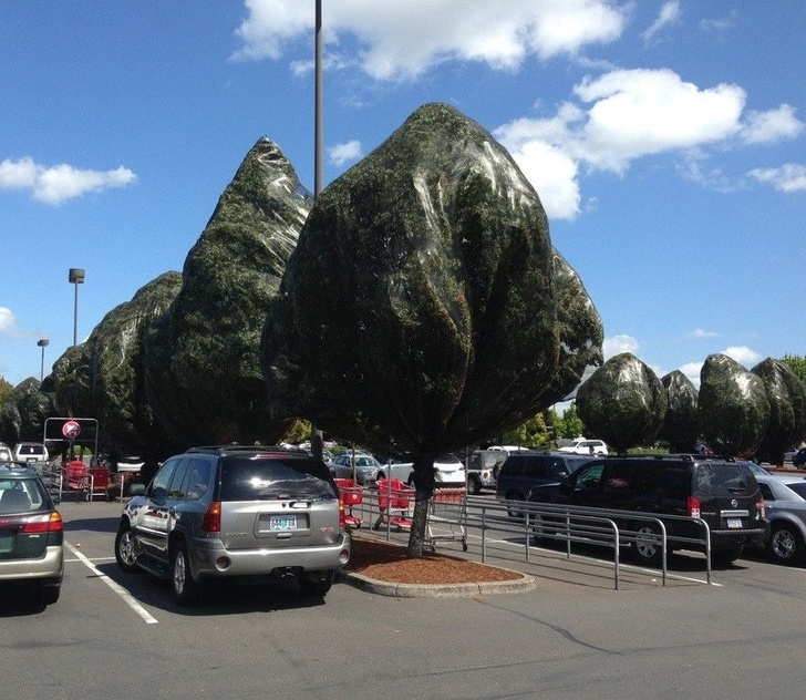 Illustration de l'article : 19 strange sights and coincidences caught on camera