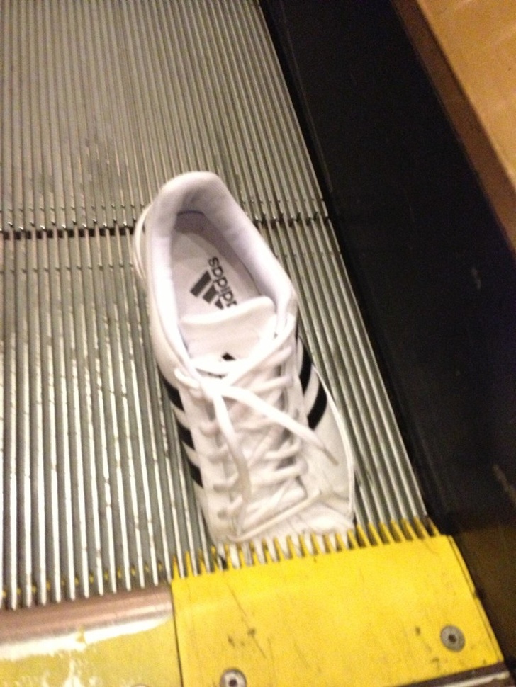 Illustration de l'article : 19 pictures that show life can be cruel (but funny!)