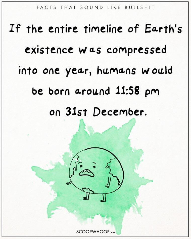 Illustration de l'article : 22 crazy but totally true facts illustrated with drawings!