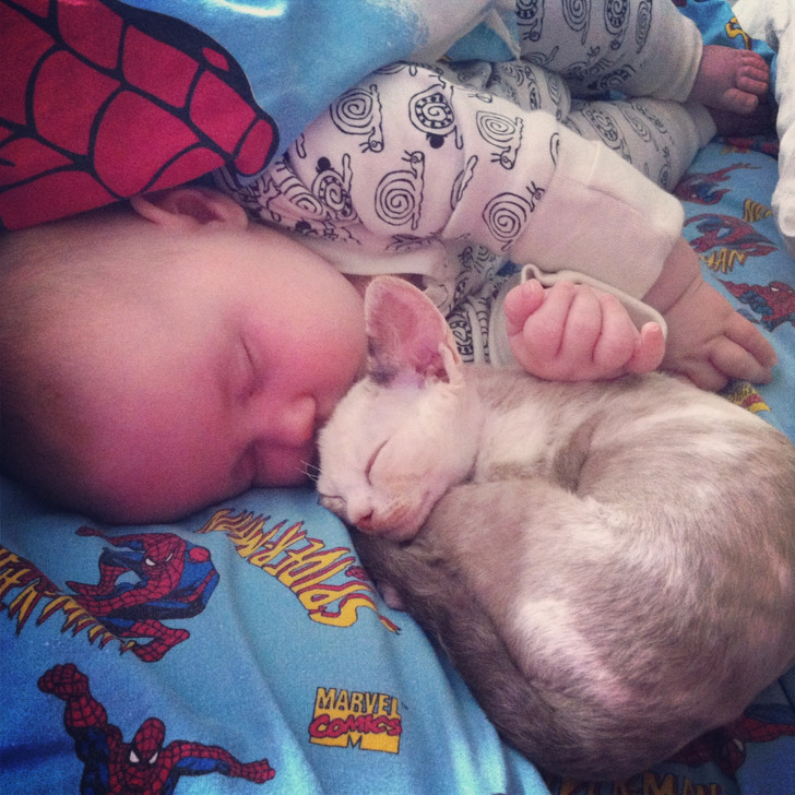 Illustration de l'article : 20 people who snapped and shared a moment of happiness