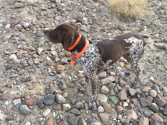 Illustration de l'article : Check out these 24 unnerving optical illusions