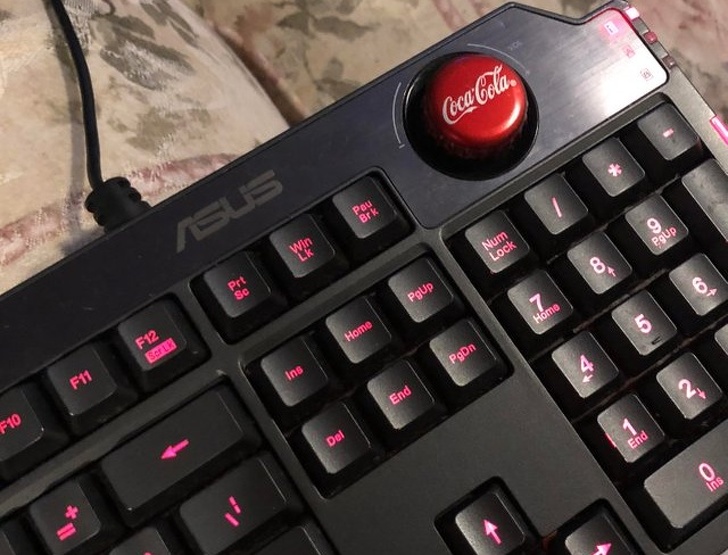 Illustration de l'article : 17 people who live life on their own terms