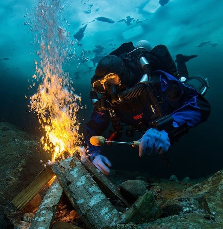 Illustration de l'article : 19 crazy sights caught on camera