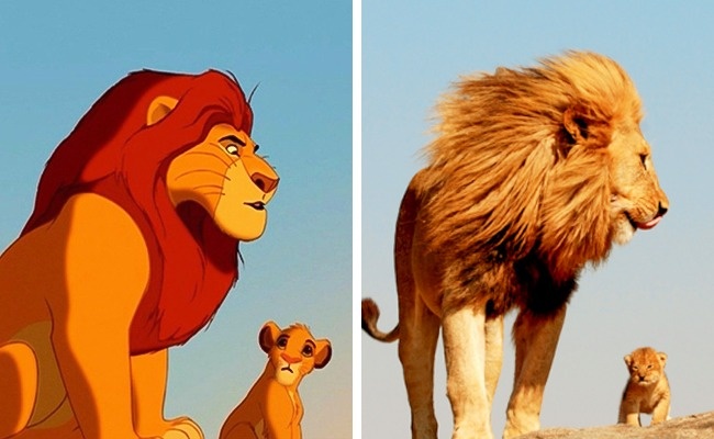 Illustration de l'article : 14 animals that are the exact copies of our favorite cartoon characters