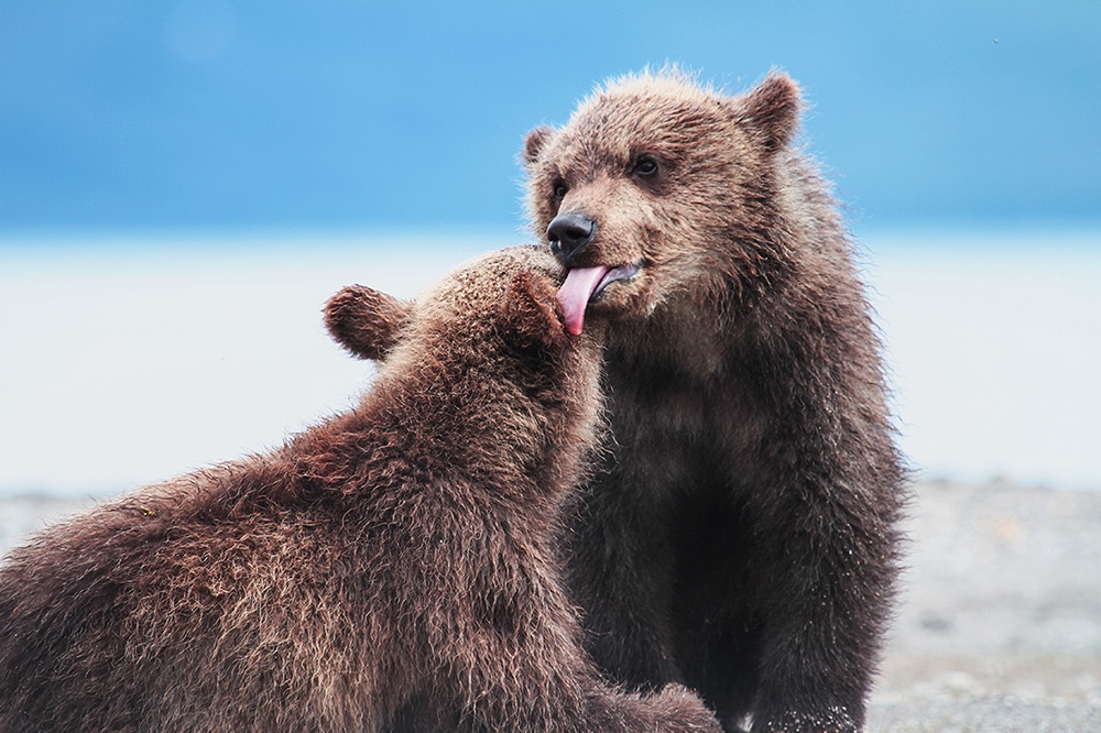 Illustration de l'article : 16 captivating images of the most fascinating natural wonders in the world