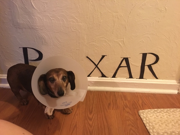 Illustration de l'article : 15 people who have mastered the art of problem-solving