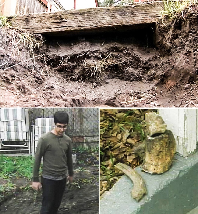 Illustration de l'article : 10 totally unexpected things people have found in their yards