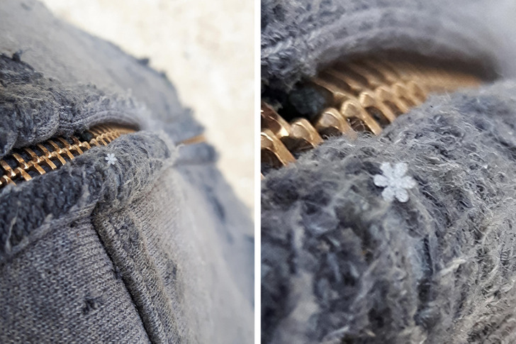 Illustration de l'article : 20 photos that illustrate the beauty of icy winters