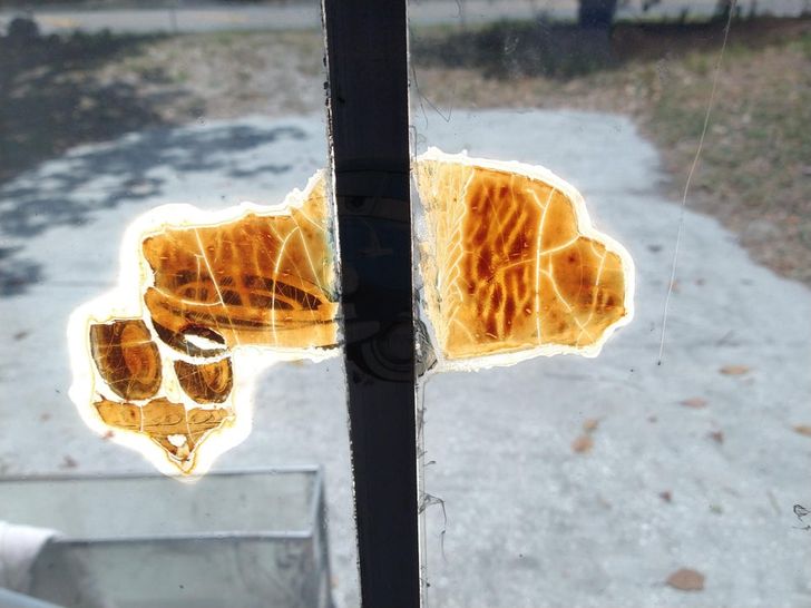 Illustration de l'article : 19 photos of masterpieces in the most unexpected places