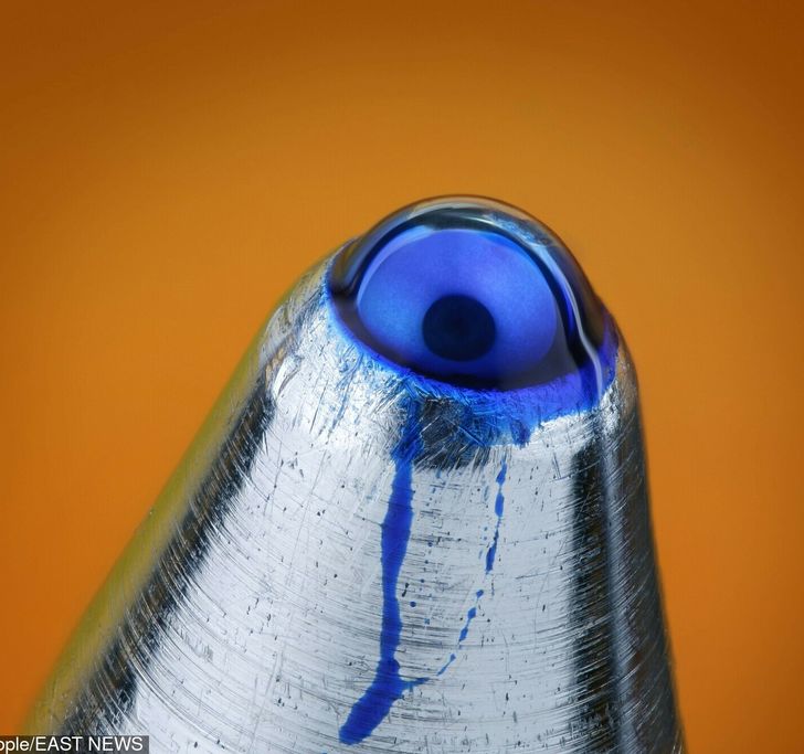 Illustration de l'article : 16 fascinating microscope photos that show off mesmerizing details 