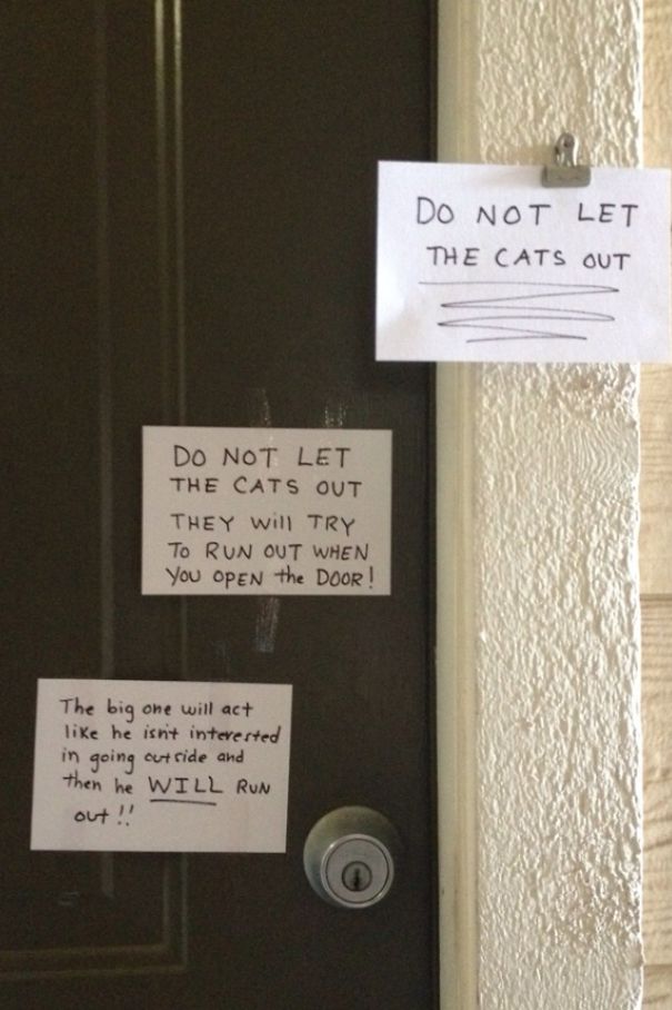 Illustration de l'article : 30 residents who decided to spice up their neighborhood